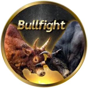 Bullfight_result