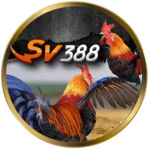 SV388_result